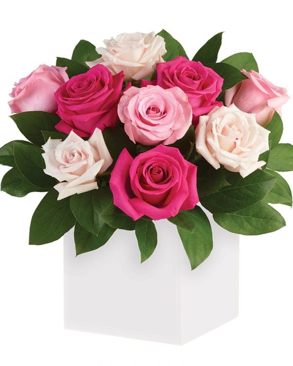 ‘Blushing Roses’