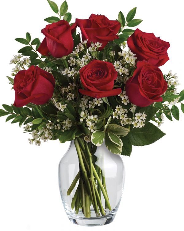 ‘Heart’s Delight’ Roses