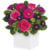 ‘Paradise’ Flower Arrangement