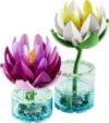 LEGO&reg; Botanicals Water Lilies 11511
